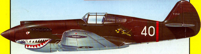 Comment identifier un Curtiss P 40 P_40_b10
