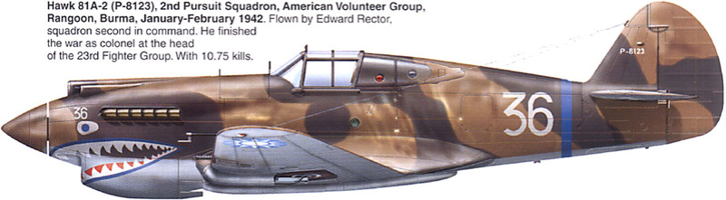 Comment identifier un Curtiss P 40 P_40_c10