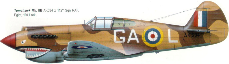 Comment identifier un Curtiss P 40 Tomaha11