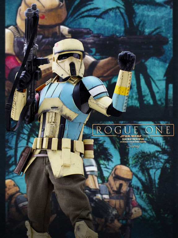 Star Wars Rogue One : 1/6 Shoretrooper (Hot Toys)  01515511