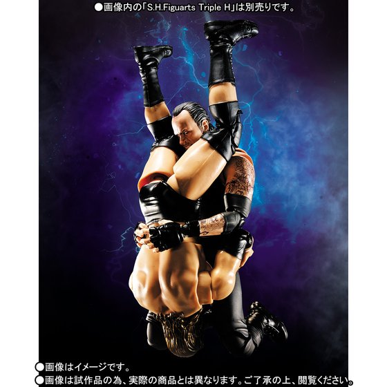 WWE (Catch) (S.H.Figuarts) - Page 2 10001118