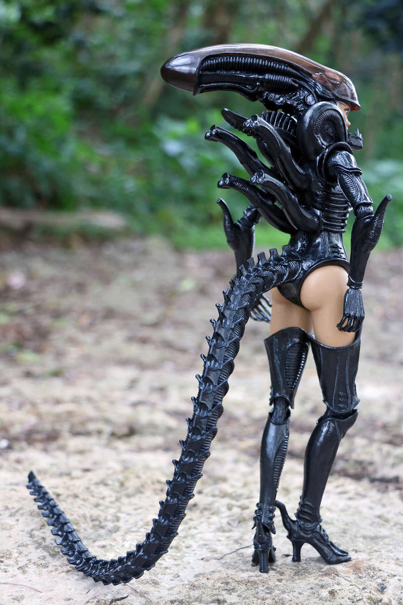 Hotangel Alien Girl Elphonso Lam 1/6 - AVP Alien Vs Predator (Hot Toys) 10454211