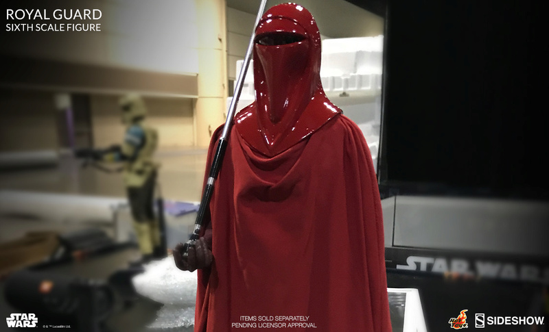 Star Wars VI Return of the Jedi : 1/6 Royal Guard (Hot Toys)  1125x610