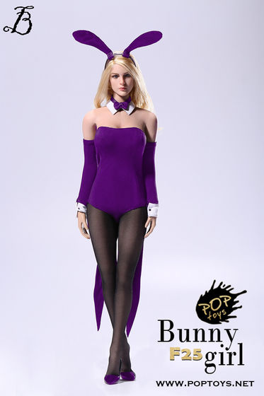 F25 : Sexy Waitress Bunny Girl suit / Four colour 1/6 (PopToys) 13253914