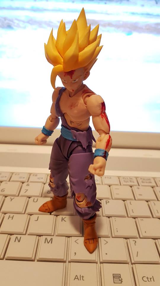 Dragon Ball : Custom par les fans 16711910