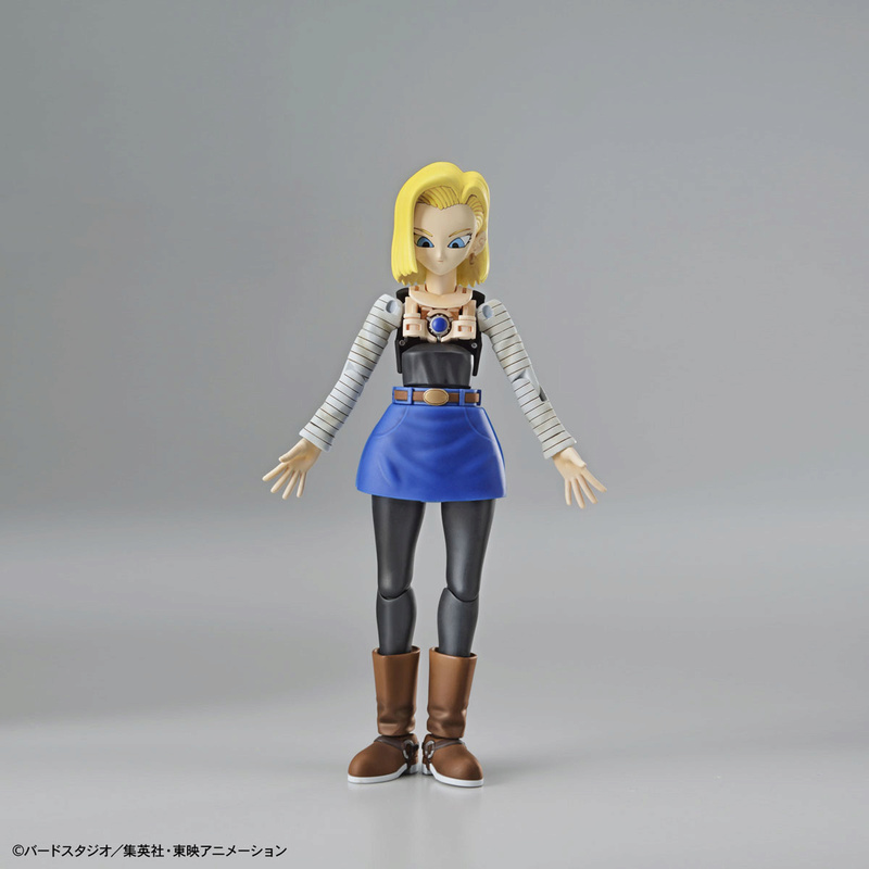 Dragon Ball Z : Figure-Rise Standard (Bandai) - Page 5 189_1811