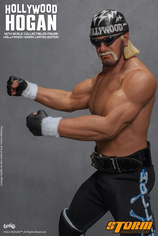 Hulk Hogan 1/6 (Catch (Storm Collectible) Hollyw15