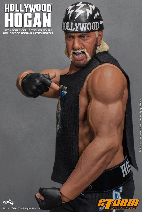Hulk Hogan 1/6 (Catch (Storm Collectible) Hollyw16