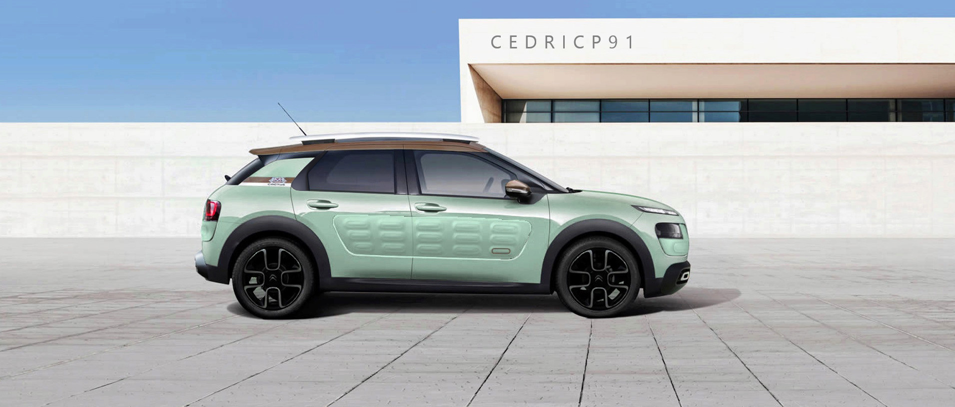 2018 - [Citroën] C4 Cactus restylé  - Page 5 Sans_t49