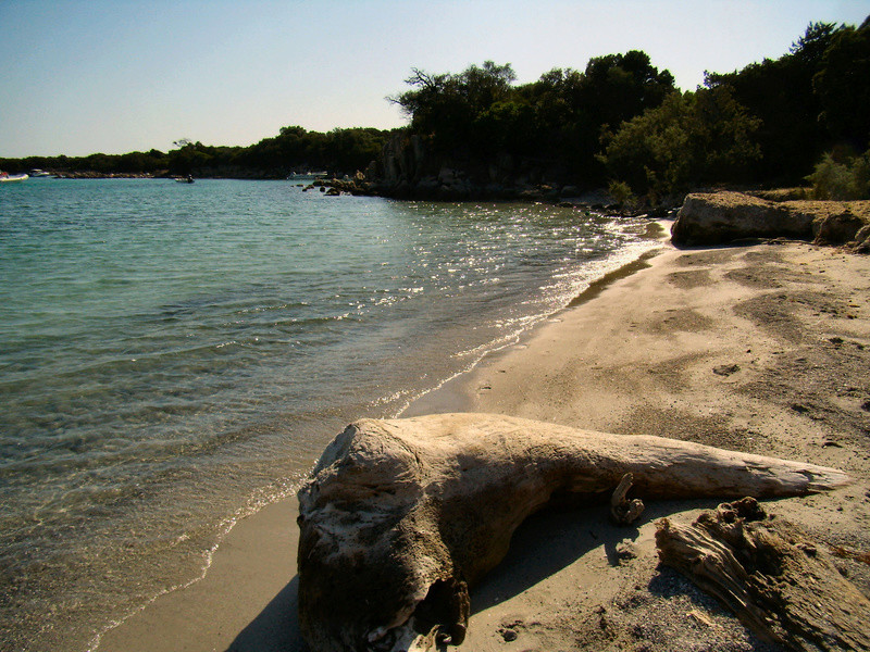 Pour vous donner envie d'aller en Corse... P8060010