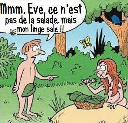 HUMOUR - blagues - Page 19 31839410
