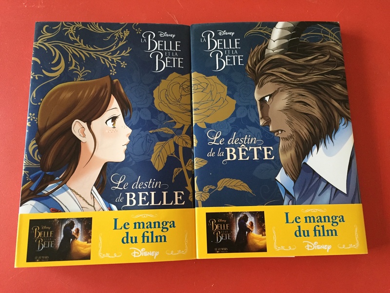La Belle et la Bête (film live) - Page 25 Img_1510