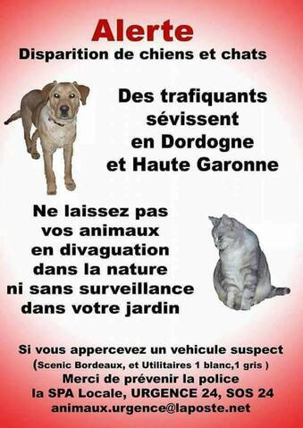 Alerte Captures Et Disparitions De Chats Page 10 Alerte Captures Et Disparitions De Chats Page 10