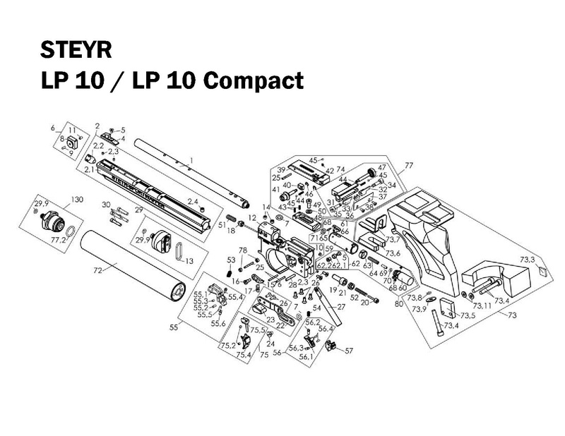 Steyr LP10 - LP10 Compact Steyr_48