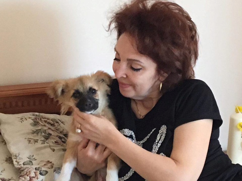 MIMI - chien femelle croisée de petite taille, fille de Miette, née environ en 2016 - EN FA chez Marusia (Pascani) - adoptée par Corinne (depart38) - Page 2 Mimi_a10