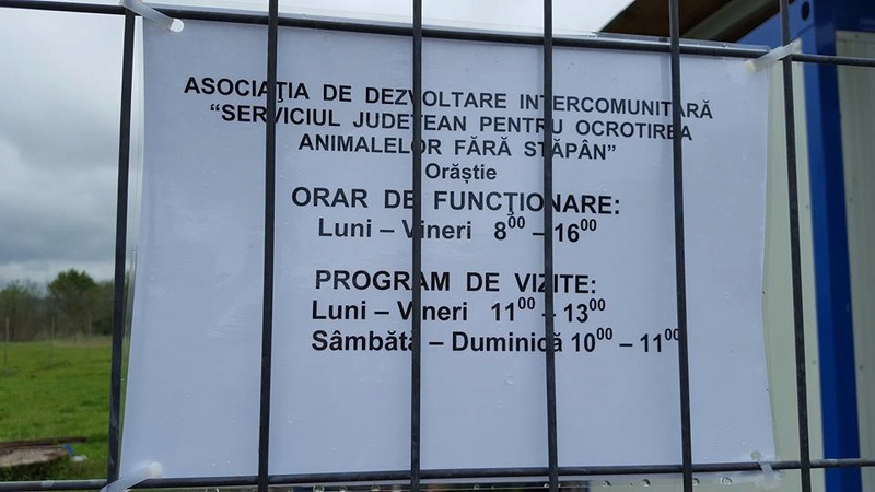 URGENCES CHIENS ET CHATS D ORASTIE - ROUMANIE 18301610