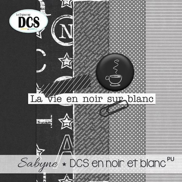 DCS en noir et blanc - Page 2 Sabyne11