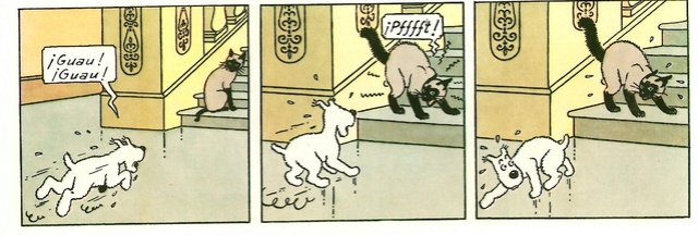 La grande histoire des aventures de Tintin. - Page 18 Scan1114