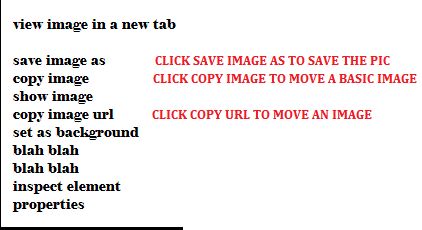 UPDATE TO COPYING AND TRANSFERRING PICS TO FORUM OR ............ Right_10