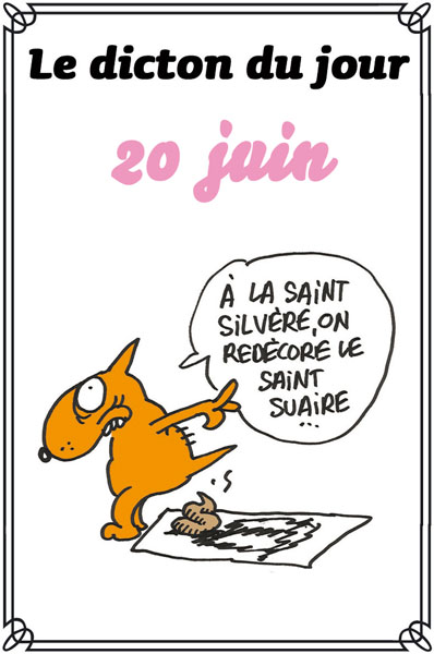 dicton du jour / dicton humour Dicton80