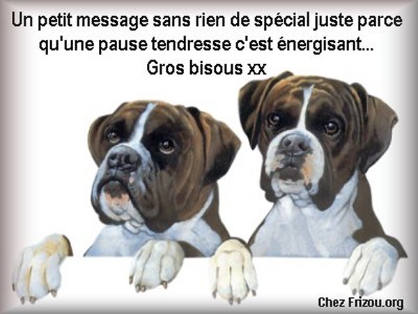 citation du jour / celebre / et images Un_pet11