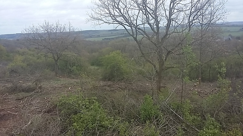 Construction mirador affût - Page 4 20170440
