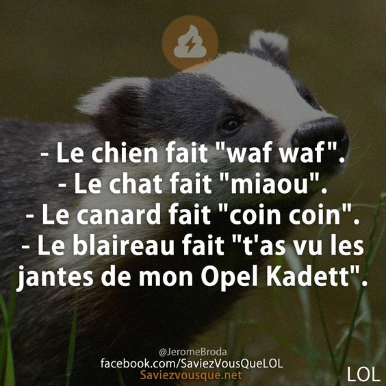 HUMOUR - Page 30 8475f310