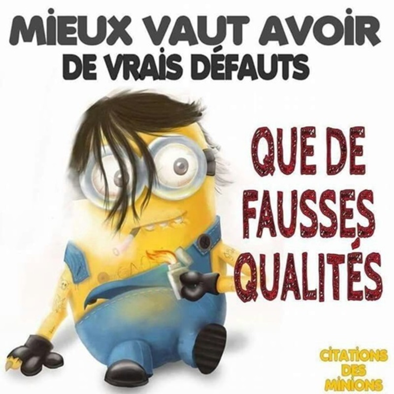 HUMOUR - Page 27 Minion12