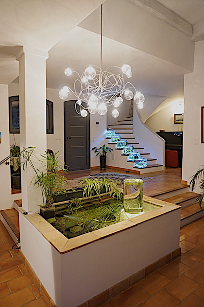 6 BACS ESCALIER dont 4 avec crevettes et 2 avec plantes - Page 4 Dsc07014
