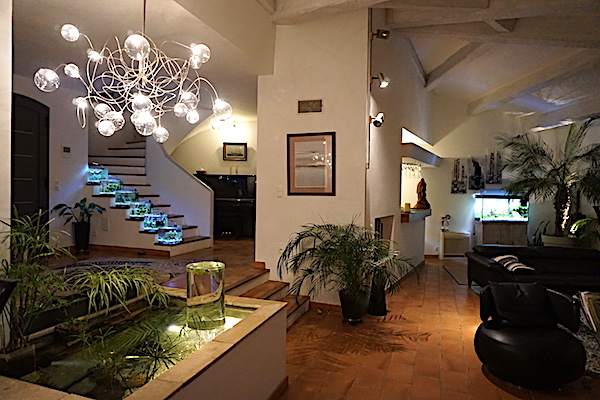 6 BACS ESCALIER dont 4 avec crevettes et 2 avec plantes - Page 4 Dsc07016