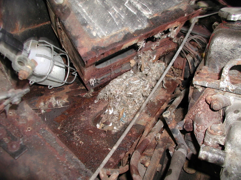 How a rusty 1963 Corvair turned into a slightly less rusty 1977 MG Midget Midget29