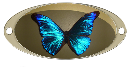 Le Papillon Papill10