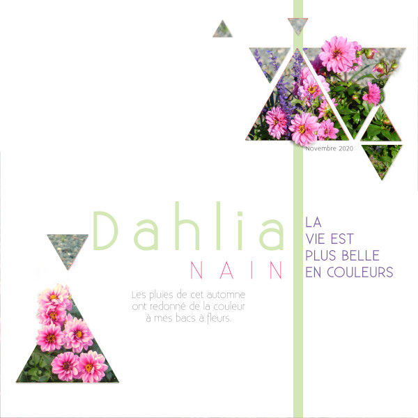 Pages avec les Templates de Novembre 2020 Dahlia10