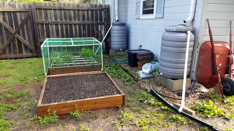 Our 2017 garden makeover Backya10