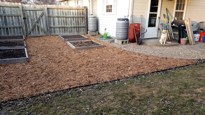Our 2017 garden makeover Backya18