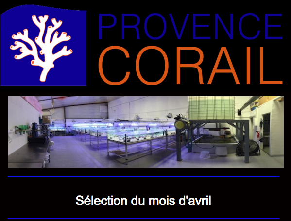 provence corail - Page 2 Captur13