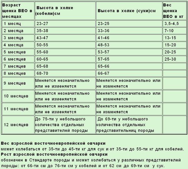 Таблица роста и веса щенка ВЕО от 1-го до 12 месяцев. 9ef75310