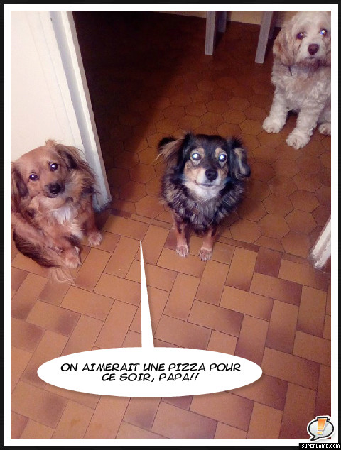 VANILLE (Minnie, Hermeray), LOUNA (Baggie, Hermeray), BETSY (Hermeray) et MAYA (Cilosia, Hermeray) - Page 7 0510