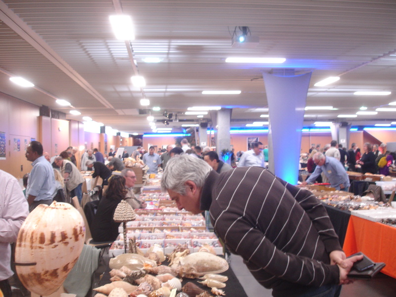 Paris 29 èmes Rencontres internationales du coquillage 11 & 12 mars 2017 - Page 4 Dsc07129