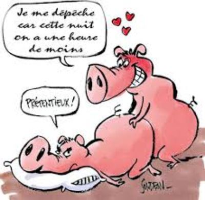 Humour en image du Forum Passion-Harley  ... - Page 22 Cochon10