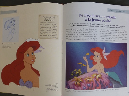 Walt Disney : Figurines de Collection [Hachette - 2016-2020] - Page 25 P1140010