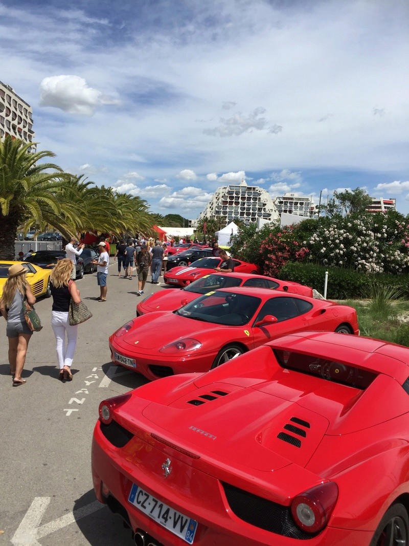 Rassemblement Ferrari lion's club Img_2523