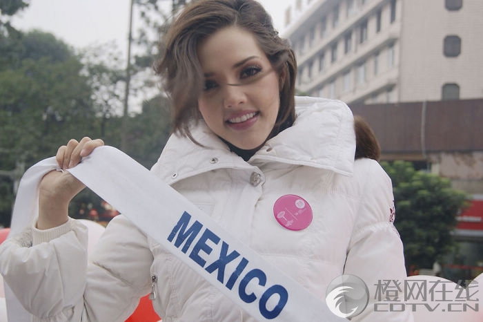 gabriela palacio diaz, nb mexico mundo 2010 (suplente), miss mexico internacional 2010. 20101110