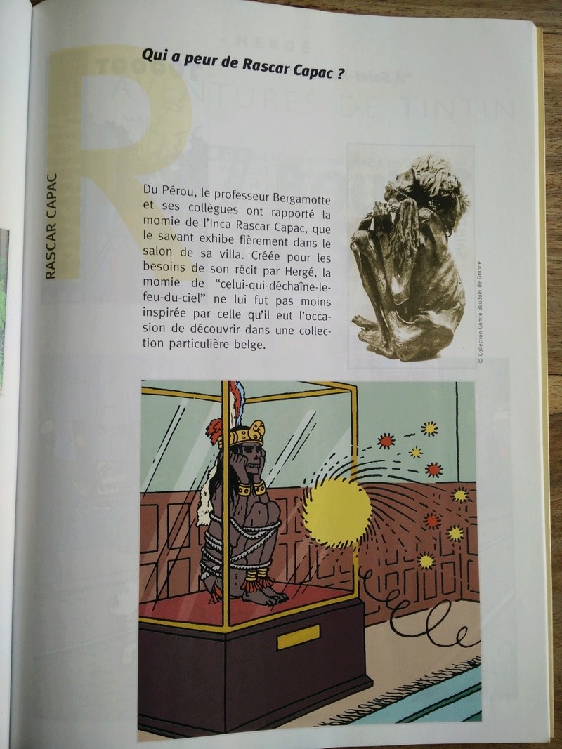 La grande histoire des aventures de Tintin. - Page 18 E10