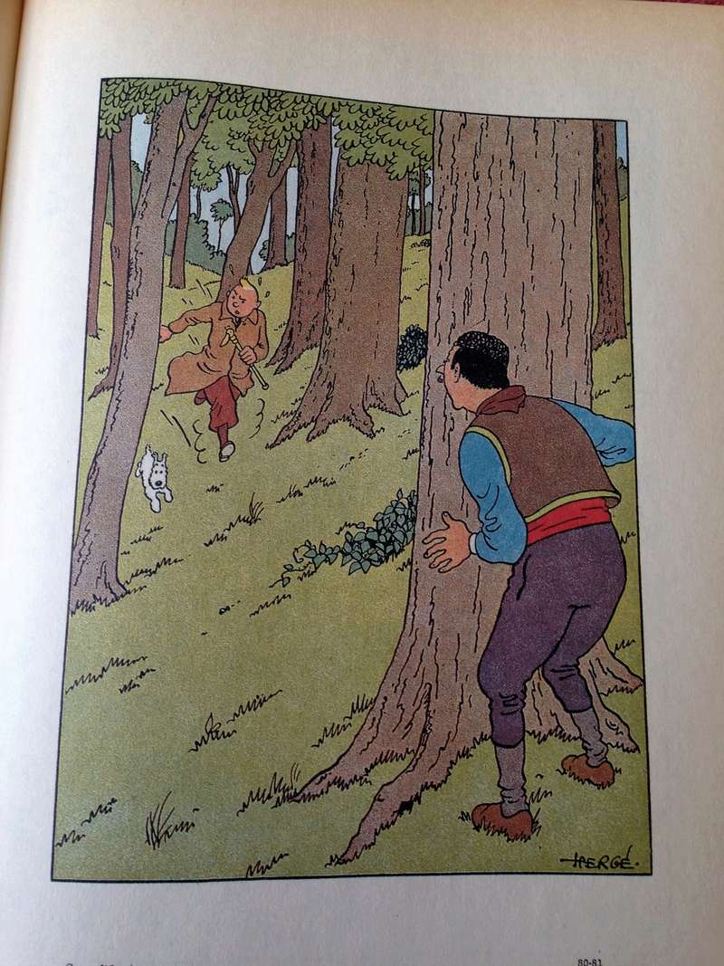 La grande histoire des aventures de Tintin. - Page 26 Img_3830