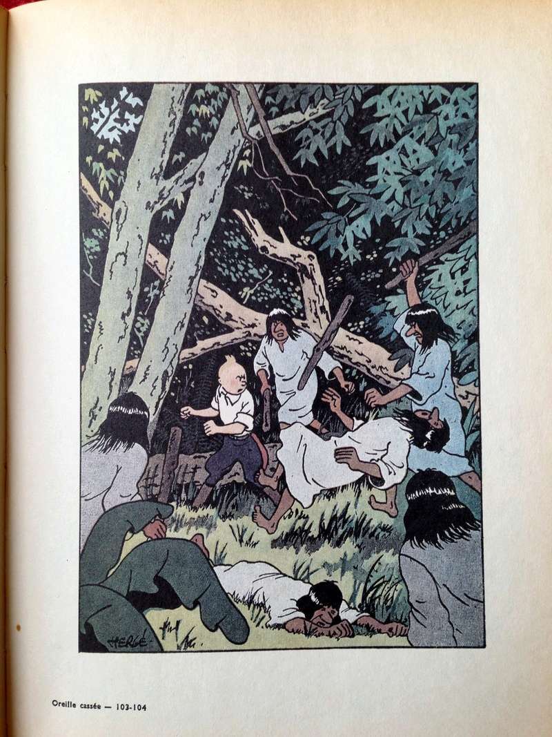 La grande histoire des aventures de Tintin. - Page 30 Img_4014