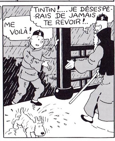 La grande histoire des aventures de Tintin. - Page 32 Page_518
