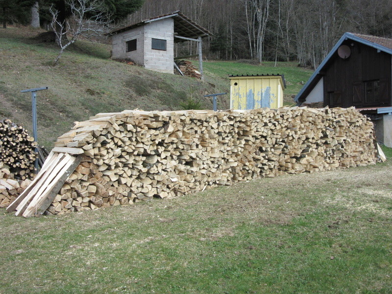 chantier coupe bois maison de repos Img_1311