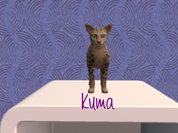 [Sims 2] Legacy Aoyama [Capitulo 1x4: ¡Reformas y un viaje! 14/06 Kuma10
