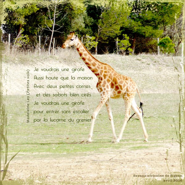 Challenge consignes --> 15 avril - Page 2 Girafe10